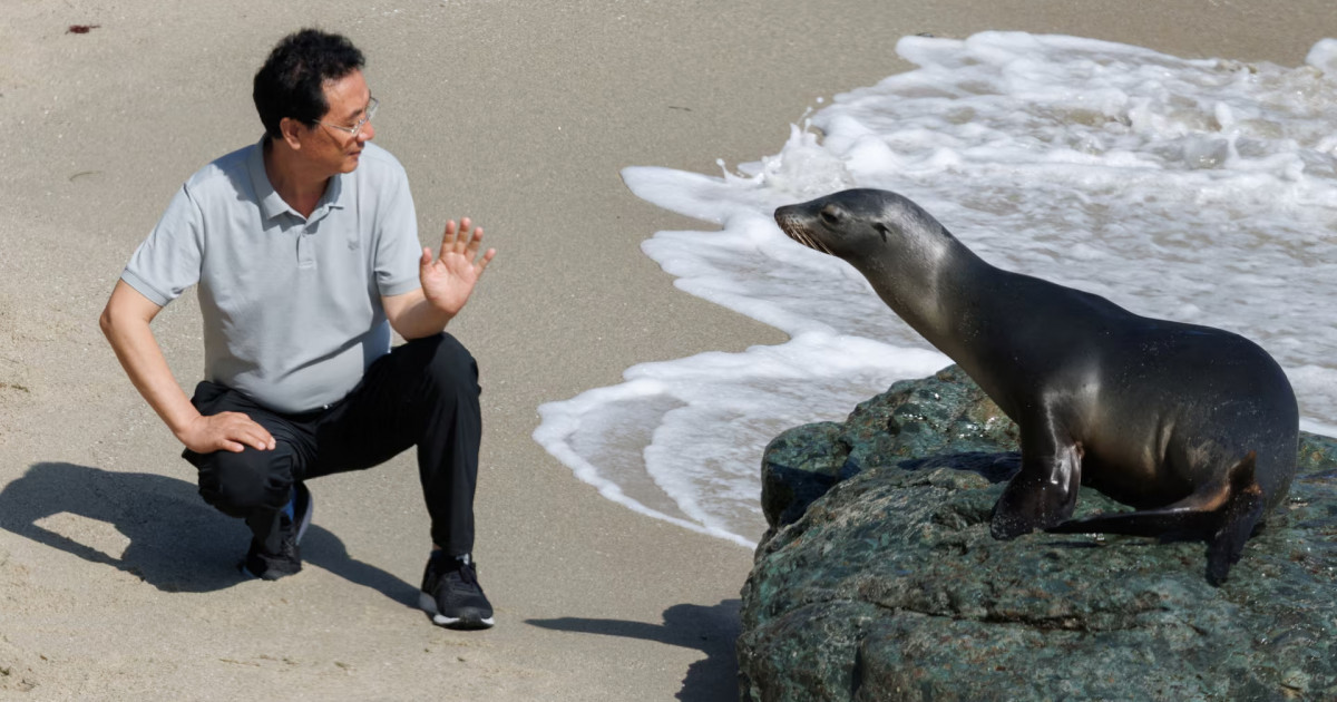 Аптаның ең ерекше фотосуреттері - Reuters