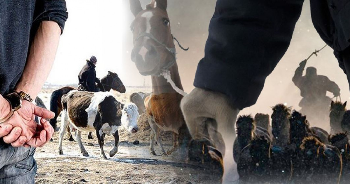 Барымта қылмысы азайды