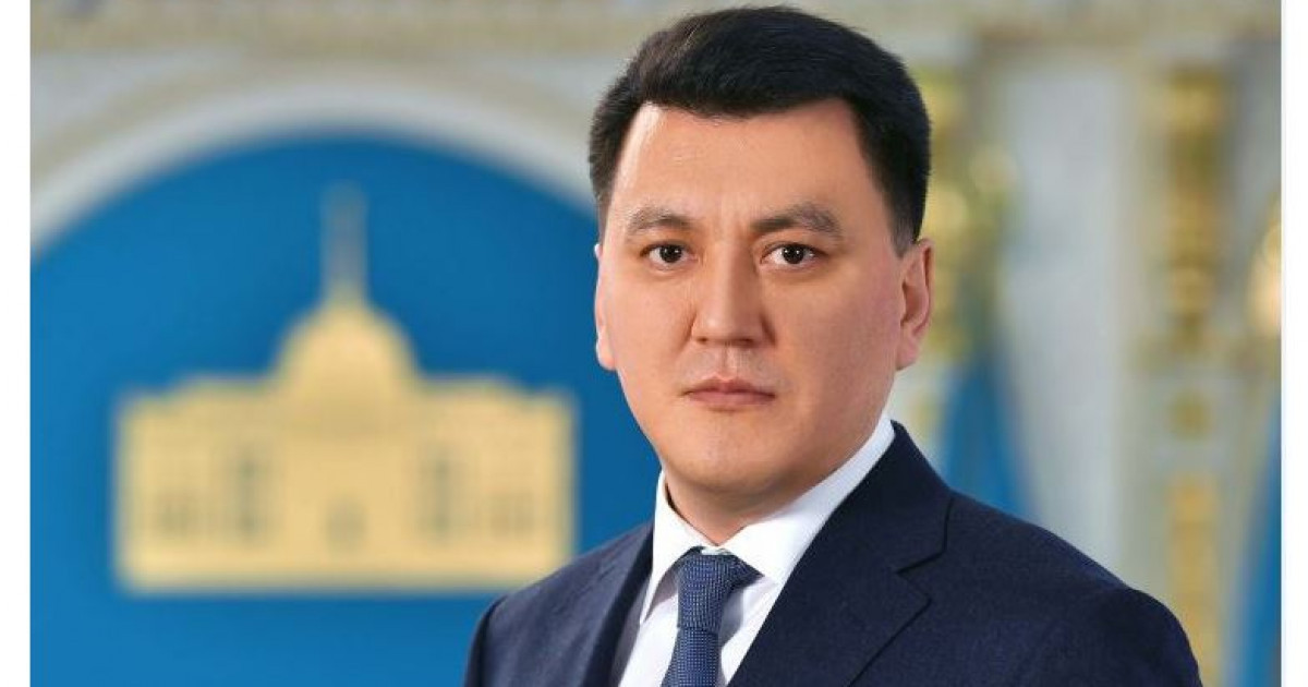 Ерлан Қарин, Мемлекеттік кеңесші: Саяси жаңғырудың жарқын үлгісі