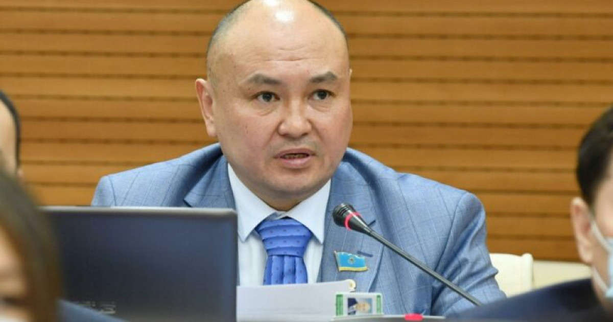 Институционалды демократия іс жүзінде іске асып жатыр – Ерлан Саиров