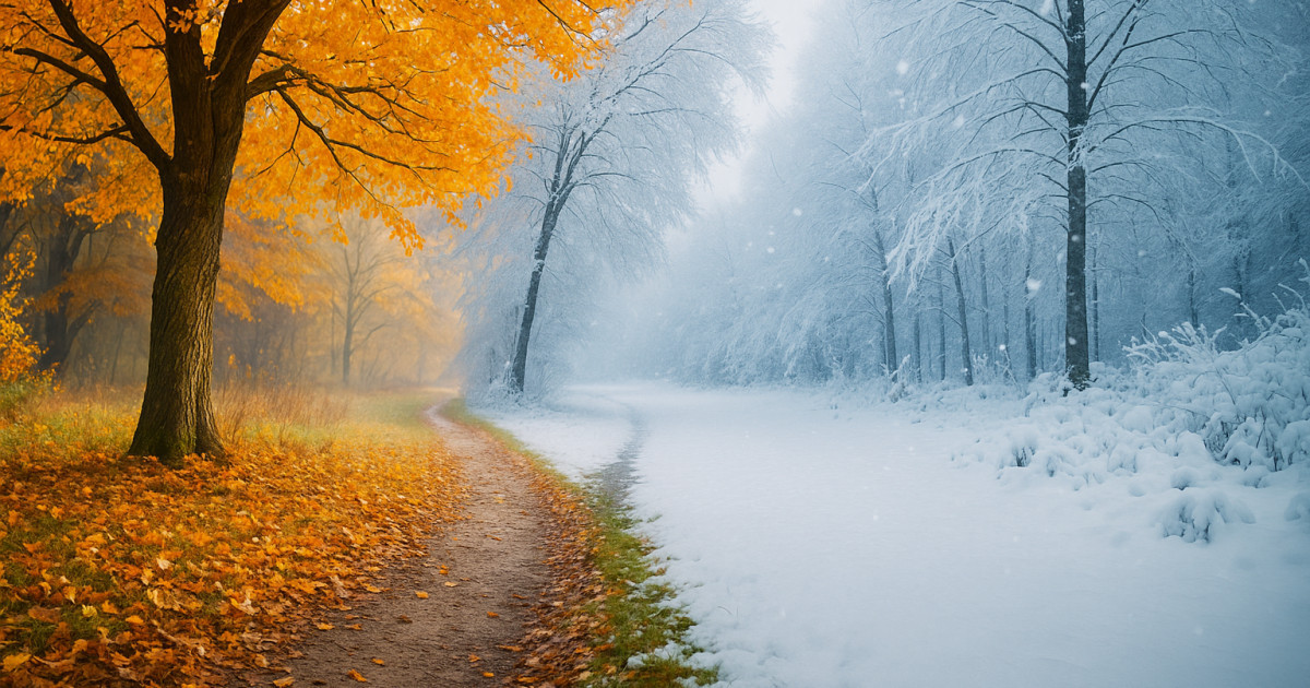 Күз айларында қысқа дайындалудың 5 қарапайым кеңесі