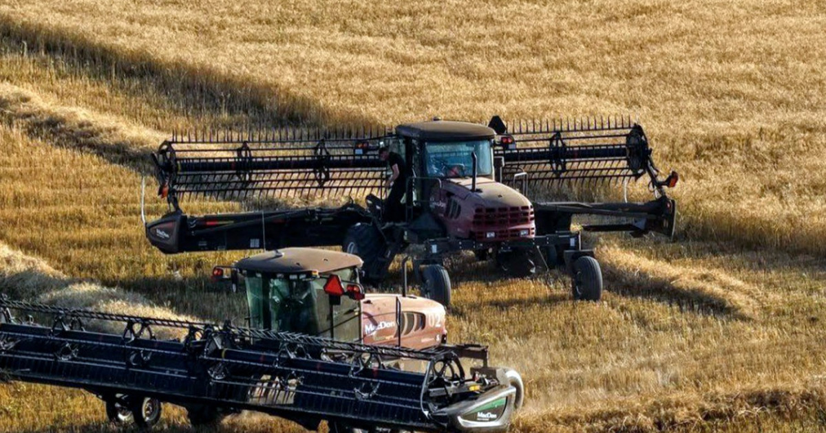 Ұн мен нан өнімдері нарығындағы тұрақтылыққа кепілдік бар ма?