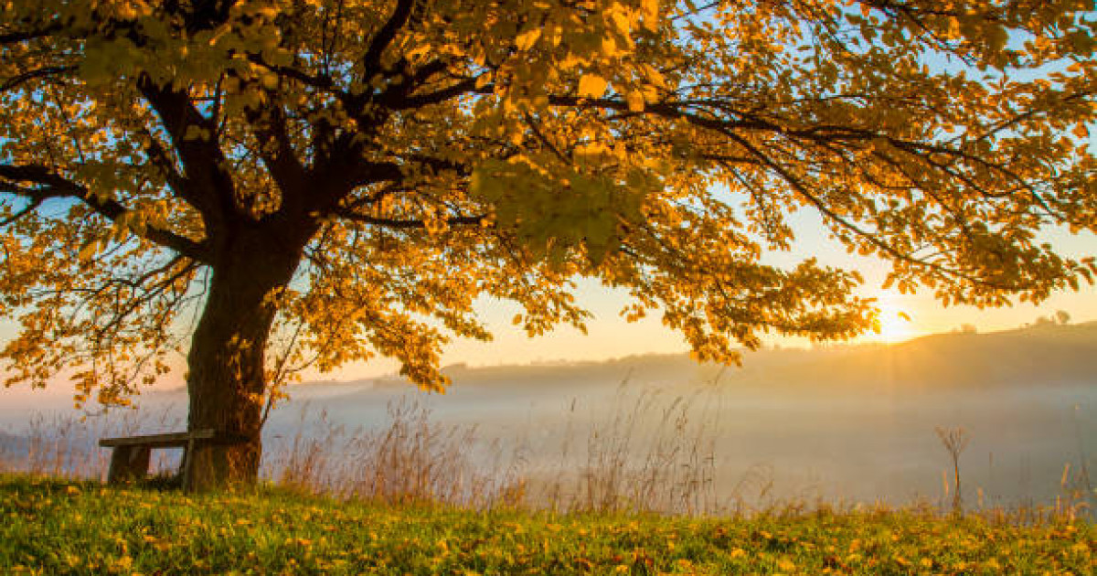 Демалыс күндері өңірлерде күн жылы болады