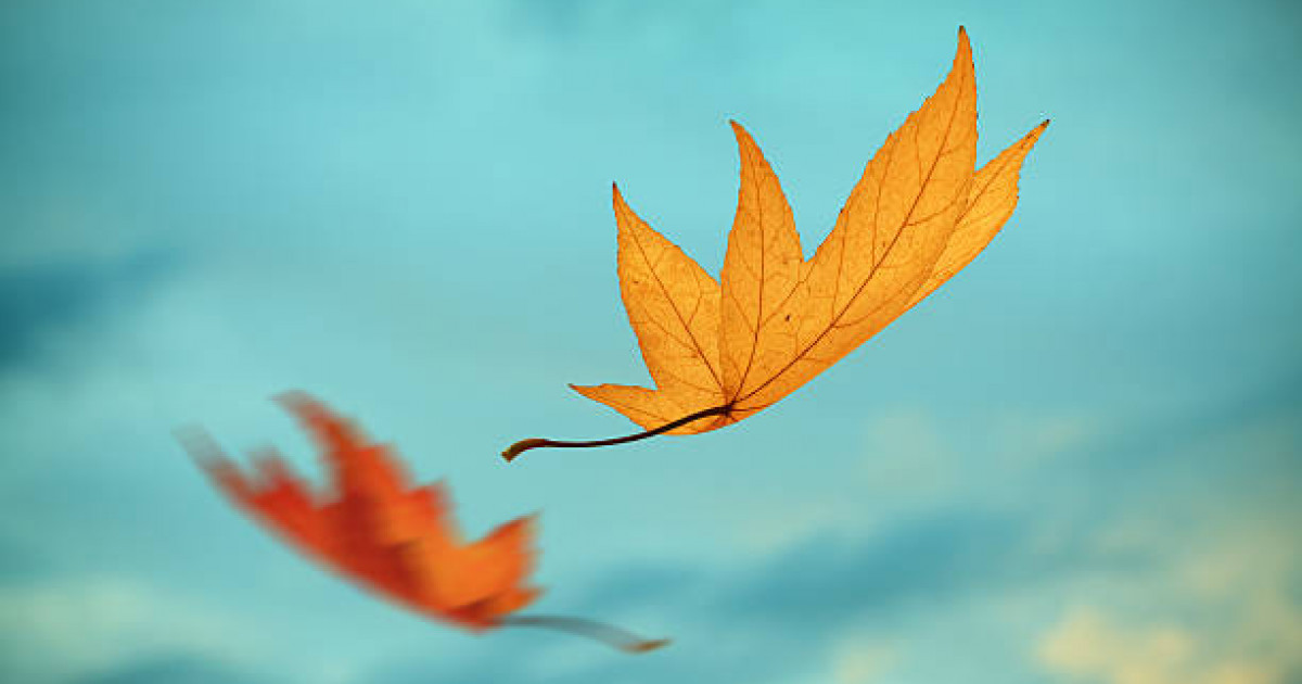 Қазгидромет: Жаңбыр мен қар жаууы мүмкін