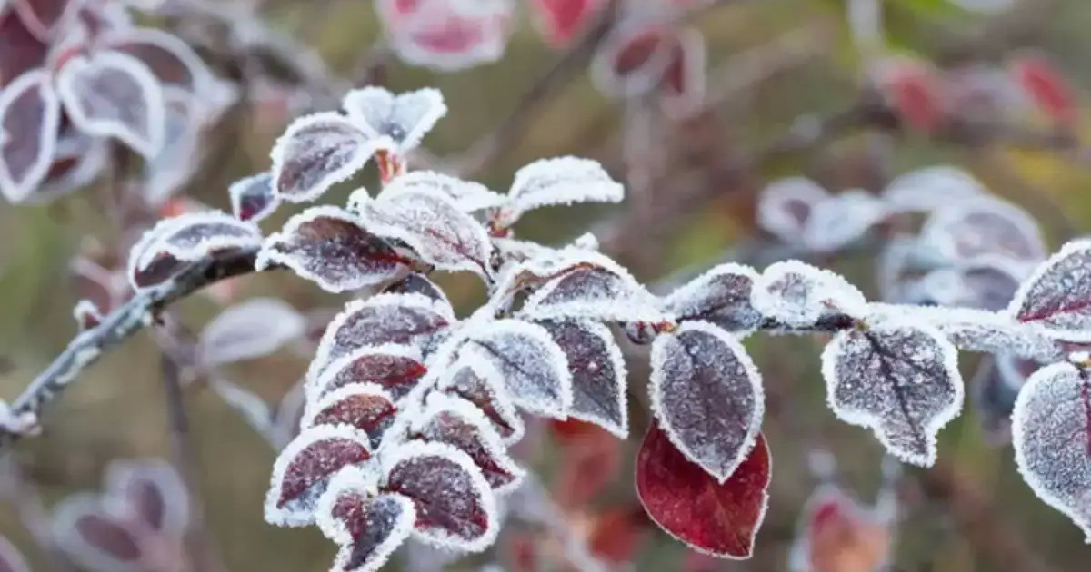 Күн суытып, үсік жүреді: 23 қазанға ауа райы болжамы