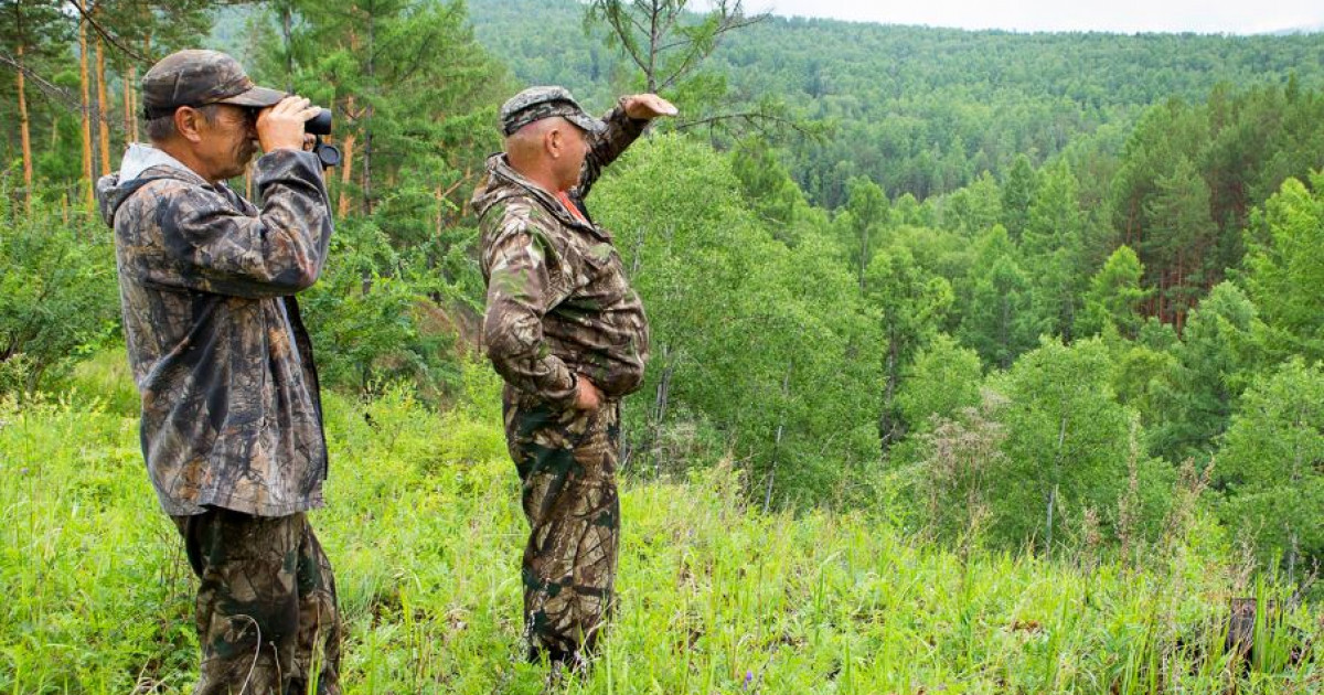 Орманшы орманға қарап ойланады