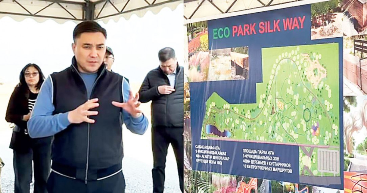 Шымкент жасыл желекке айналып келеді