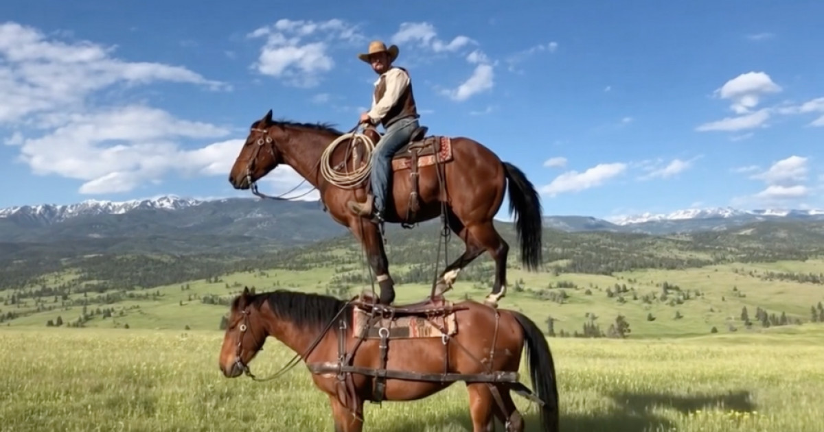 Sora 2 ғажайып видеолар жасайды