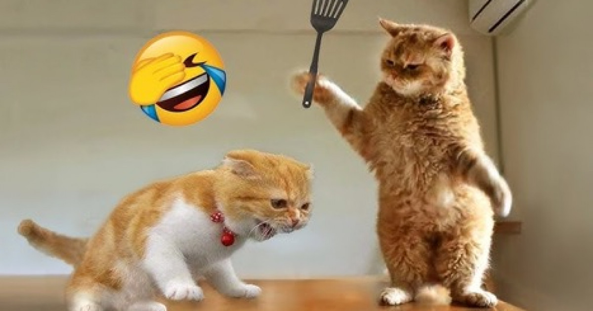 Шексіз скроллинг жастарды аз уақытта тәуелді жасайды, миын өзгертеді