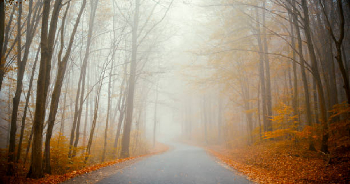 Дауылды ескерту жарияланды