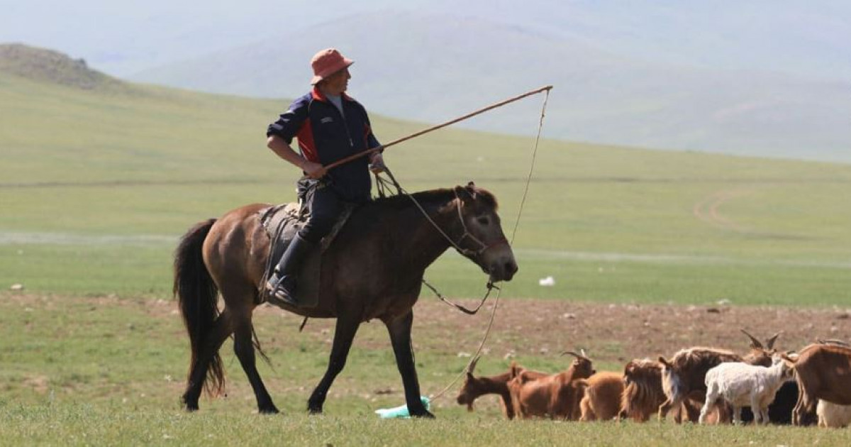 Мал шаруашылығына баса мән беруіміз керек