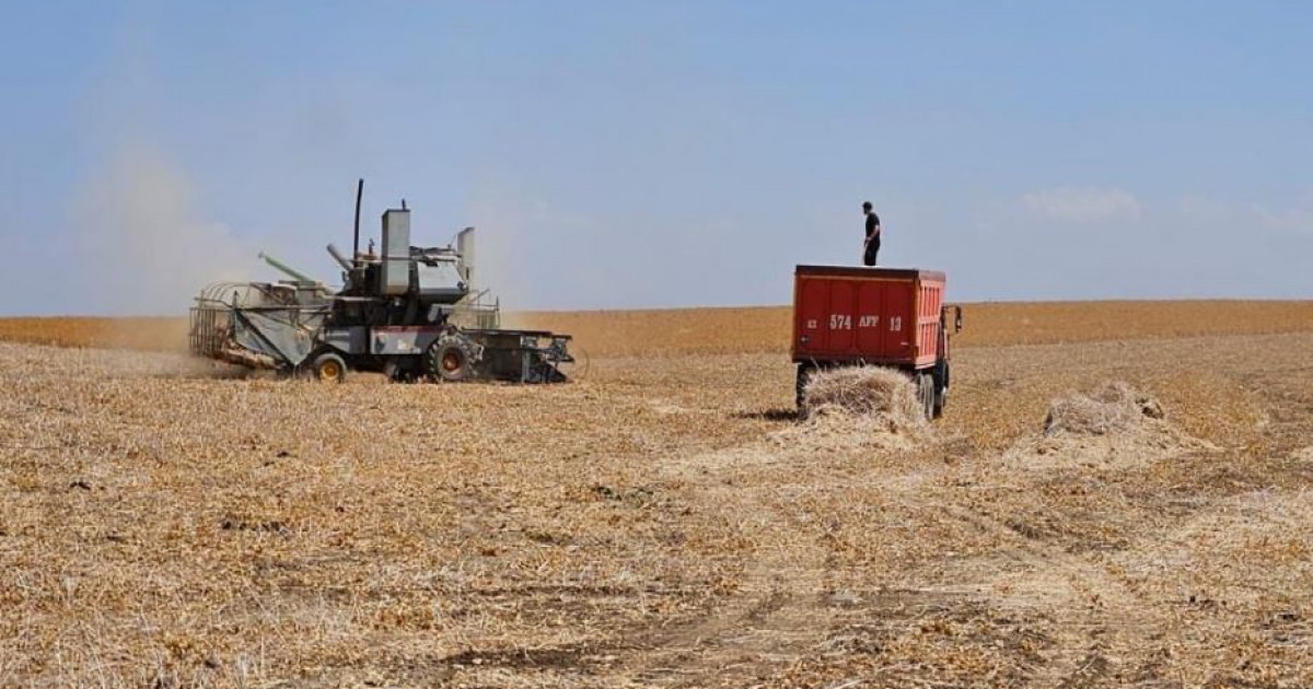 Шымкент агросекторы жаңғырып келеді