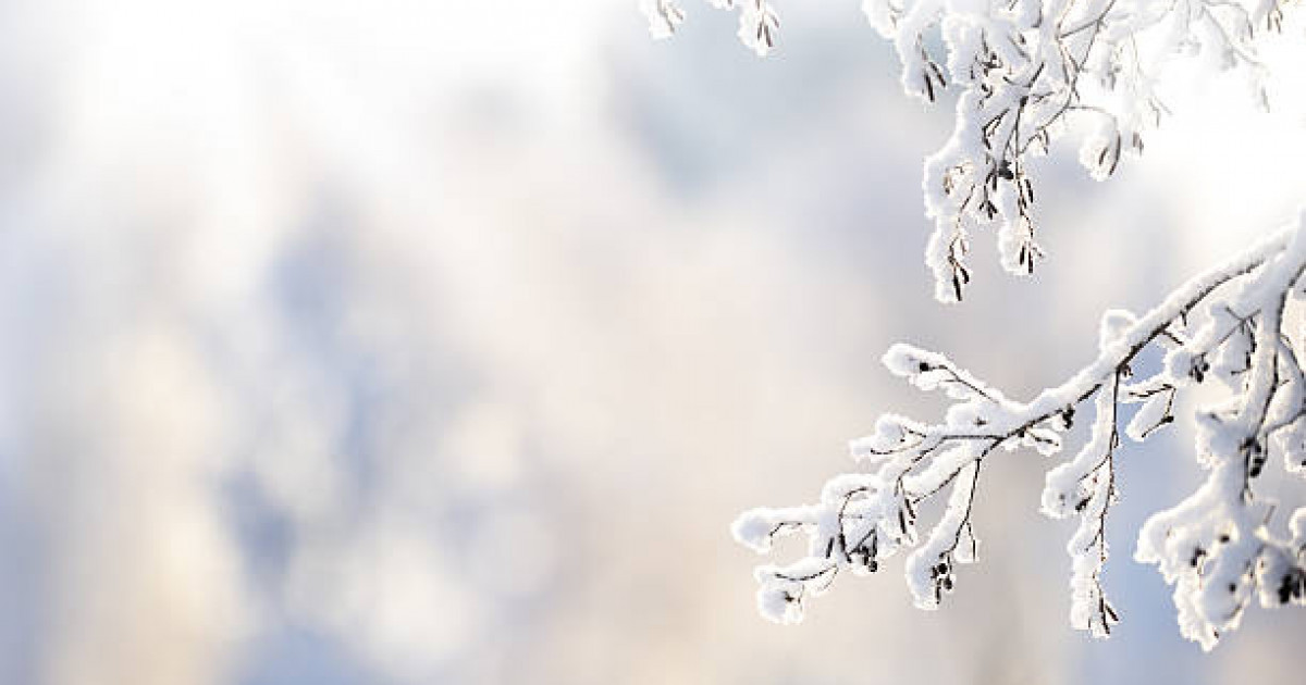 Еліміздің басым бөлігінде қар жауып, боран соғады