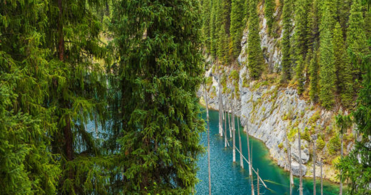 Көлсайда туристер мінген көлік аударылып, бір адам қаза тапты