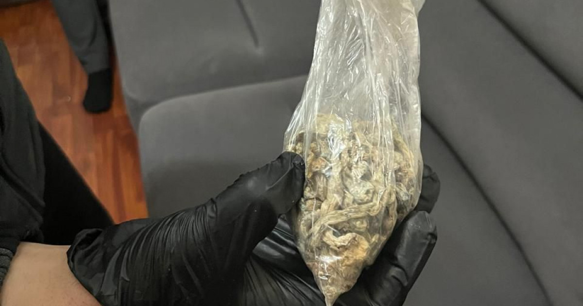 «Telegram арқылы жұмыс істеген»: қолында психотроптық заты бар ер адам ұсталды