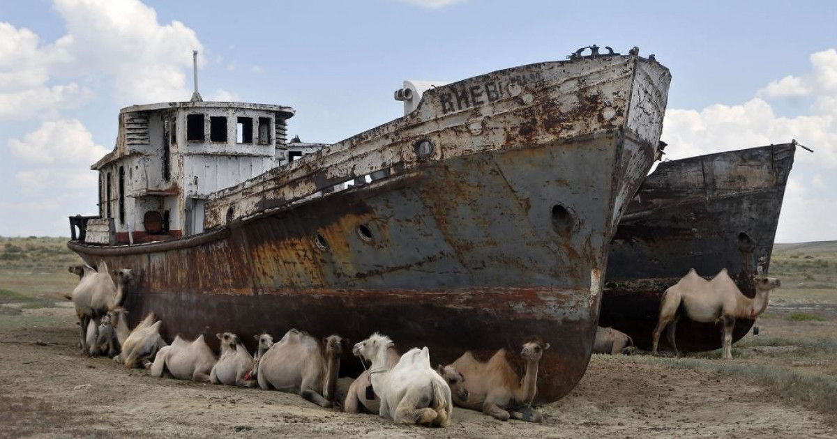 Теңізге тамшы керек...