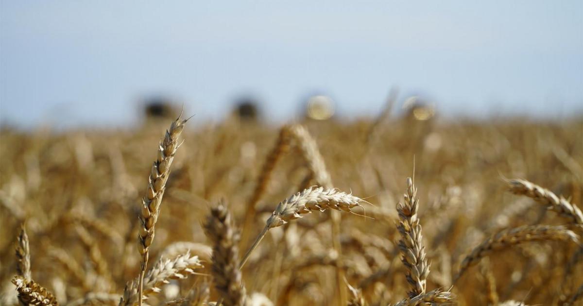 Үкімет астық экспортын қолдауға қосымша 7 миллиард теңге бөлді