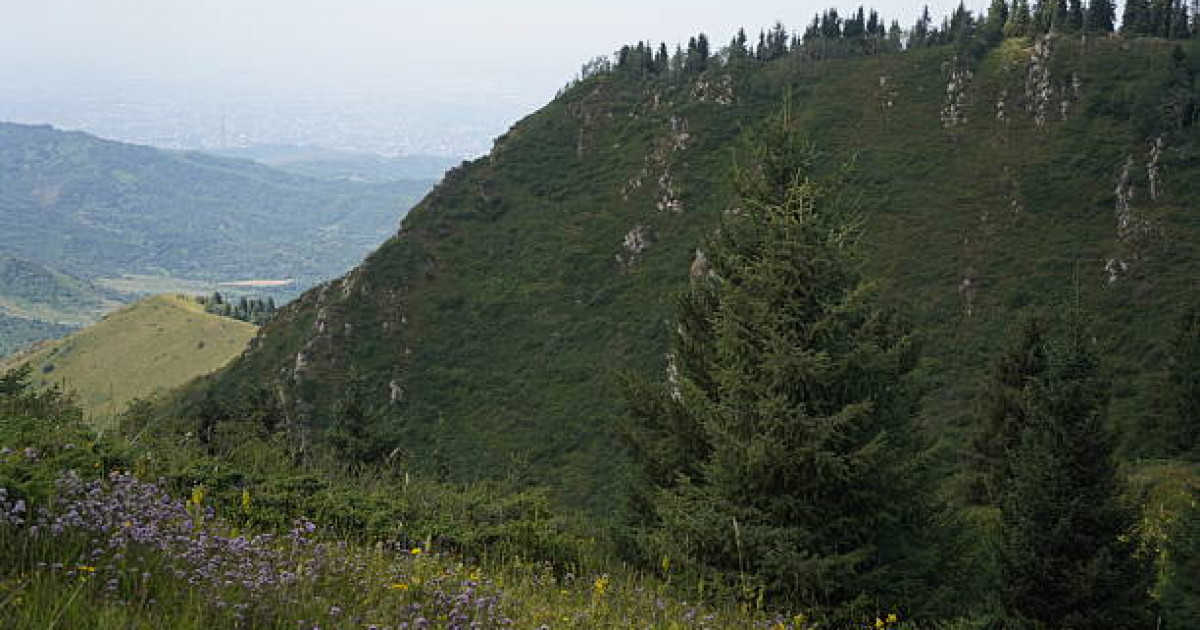 Үндістанның киногерлері еліміздің туристік орындарында фильм түсіреді