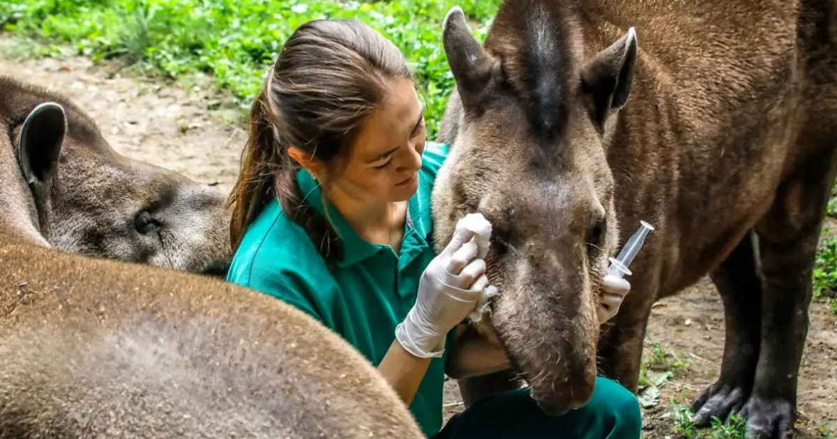 Жобаның жаңалығы көп