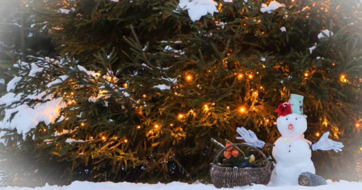 «100-ден астам жол апаты тіркелді»: Астанадағы көктайғақтың кесірінен тұрғындар әбігерге түсті