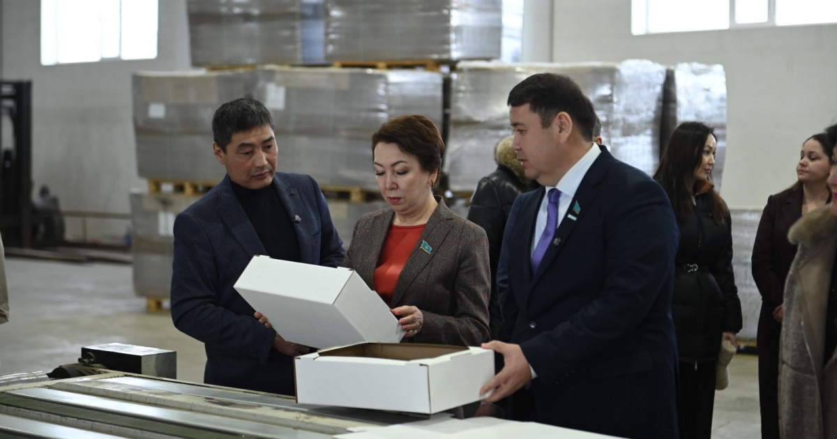 Депутаттар ақтөбелік сайлаушылармен еңбек адамдарын қолдау мәселелерін талқылады