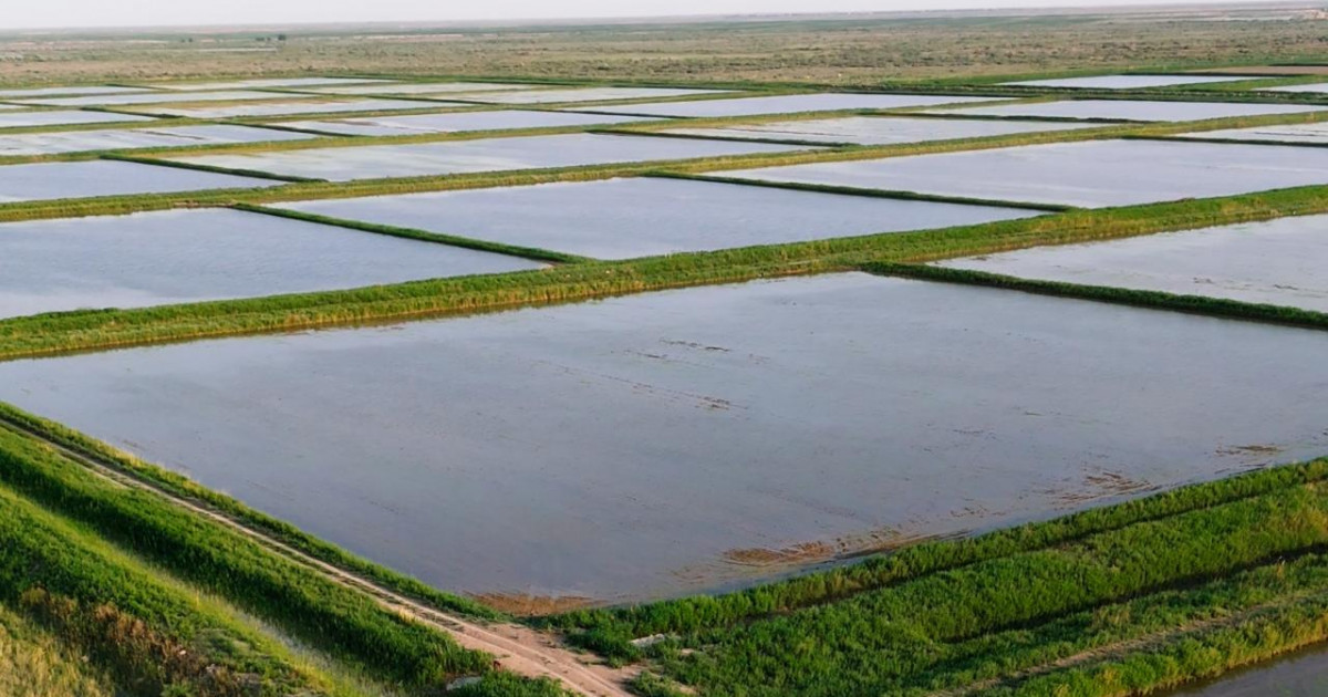 Елімізде көктемгі су тасқынына дайындық басталды