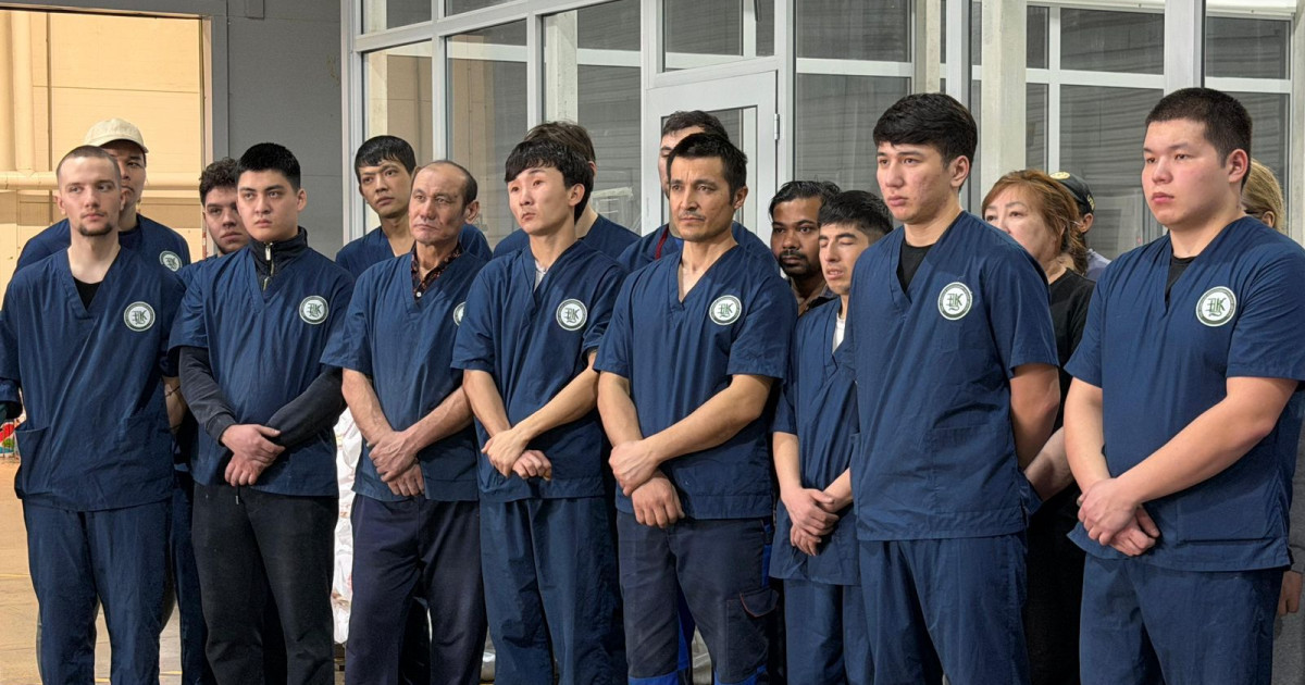 Сарапшы еңбек ұжымын жаңа Конституцияға дауыс беруге шақырды