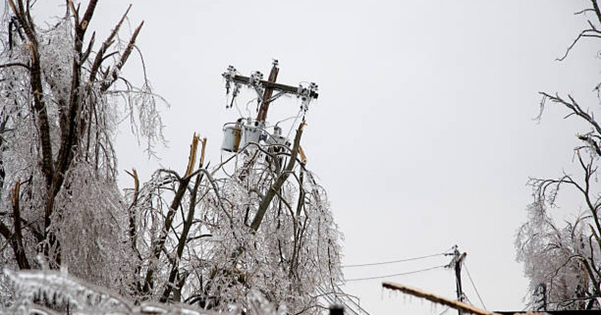 Шымкенттегі көпқабатты үйдің ауласына ағаш құлап, 10 жастағы бала мерт болды