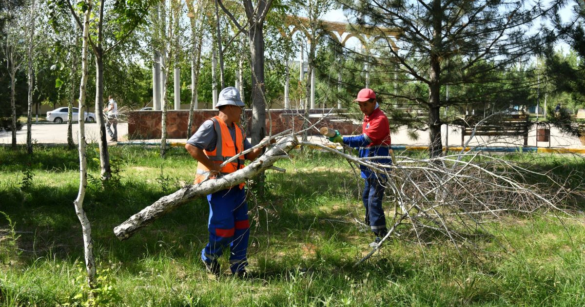 «Таза бейсенбі»: Игі іс – жанашырлықтың жарқын үлгісі