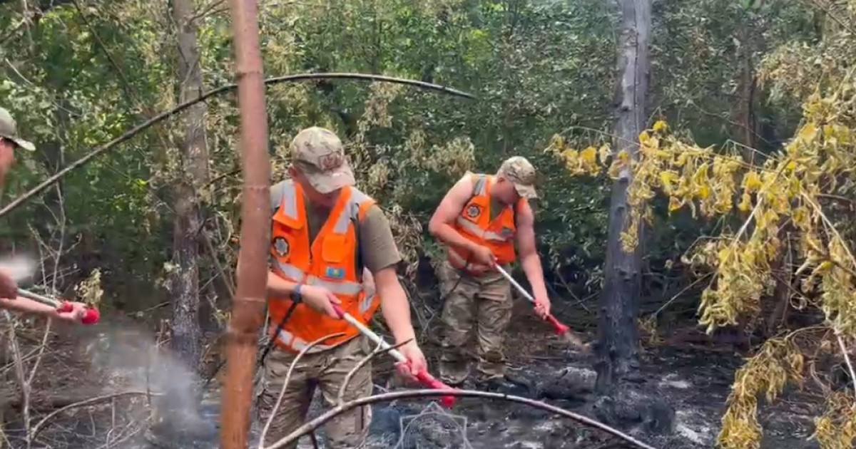 БҚО-да орман өртін сөндіру жұмыстары жүріп жатыр