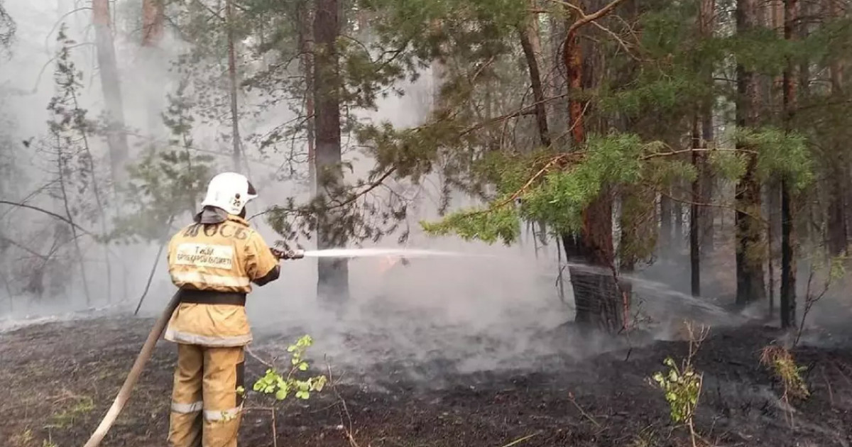 Елімізде 5 орман өрті тіркелді
