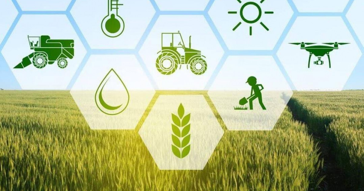 Егінді сақтандыруға өтінім қабылдау 31 шілдеге дейін ұзартылды