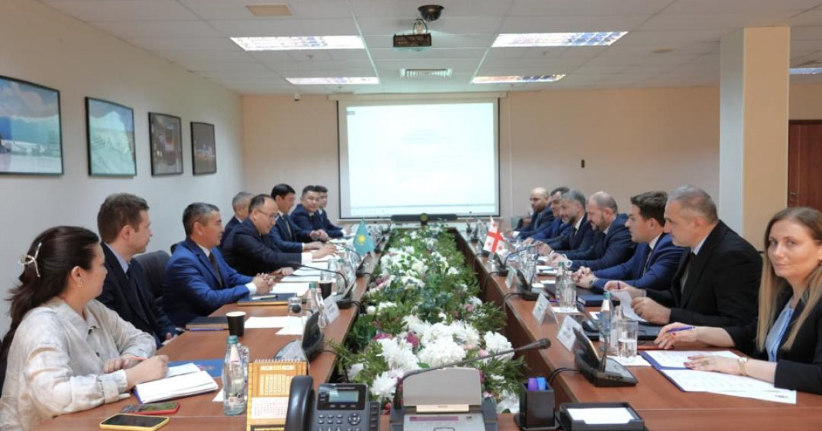 Қазақстан мен Грузия e-Permit жүйесі арқылы электронды рұқсат алмасуды іске қосады