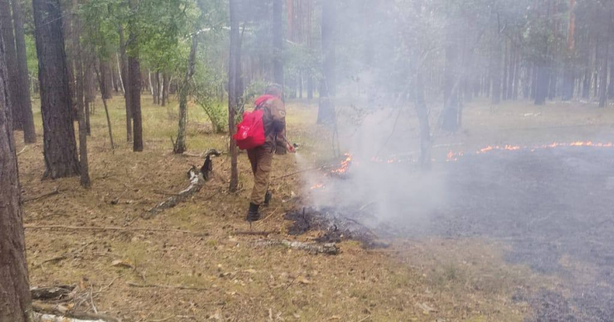 Қазақстанда бір күнде екі орман өрті тіркелді