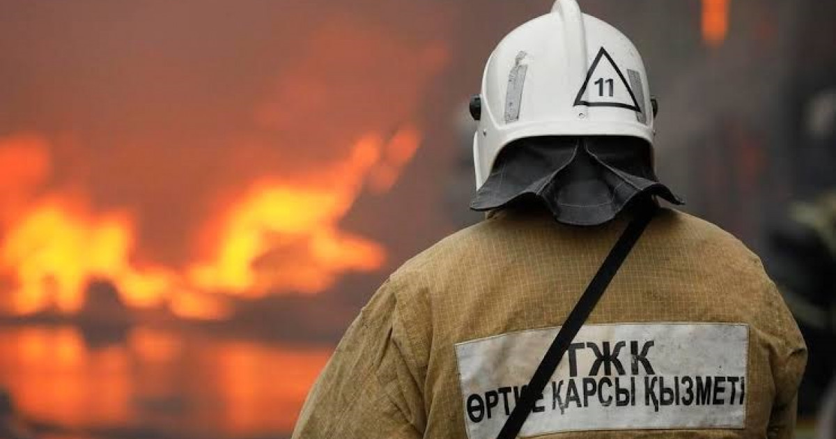 Тілсіз жауға қарсы тегеурін керек