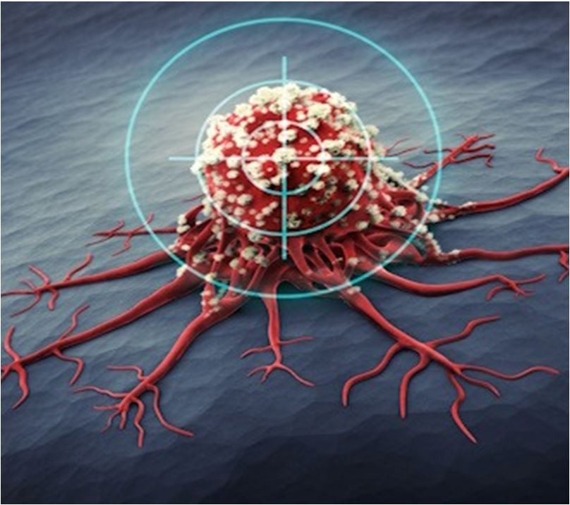 Тимошенко порно видео