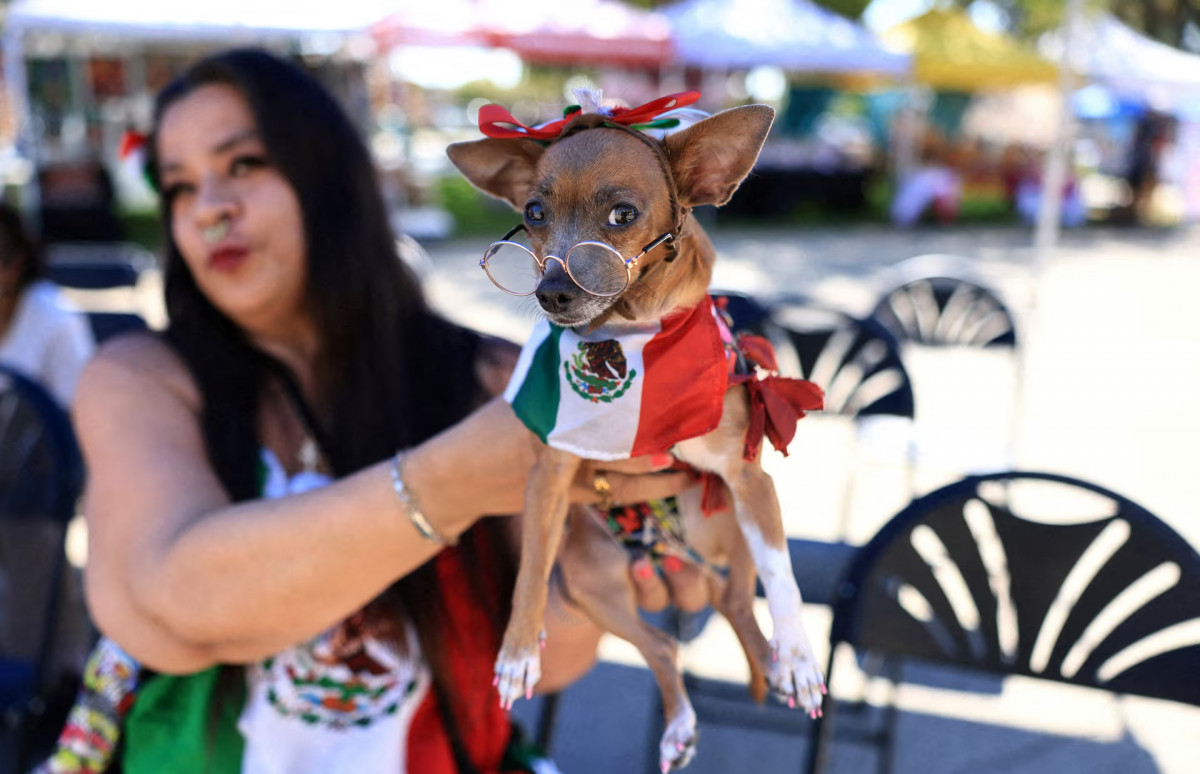 Легинс киген әйелдің порно видеосы
