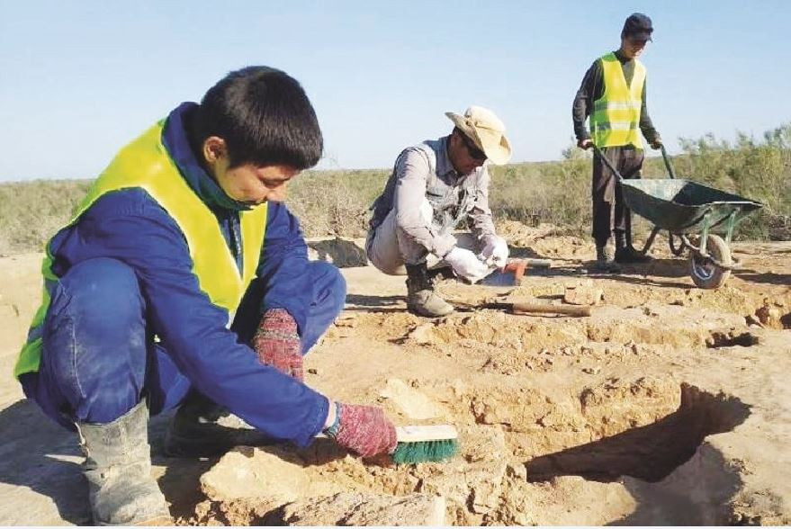 Әйелдердің клиторлық бөртпелері