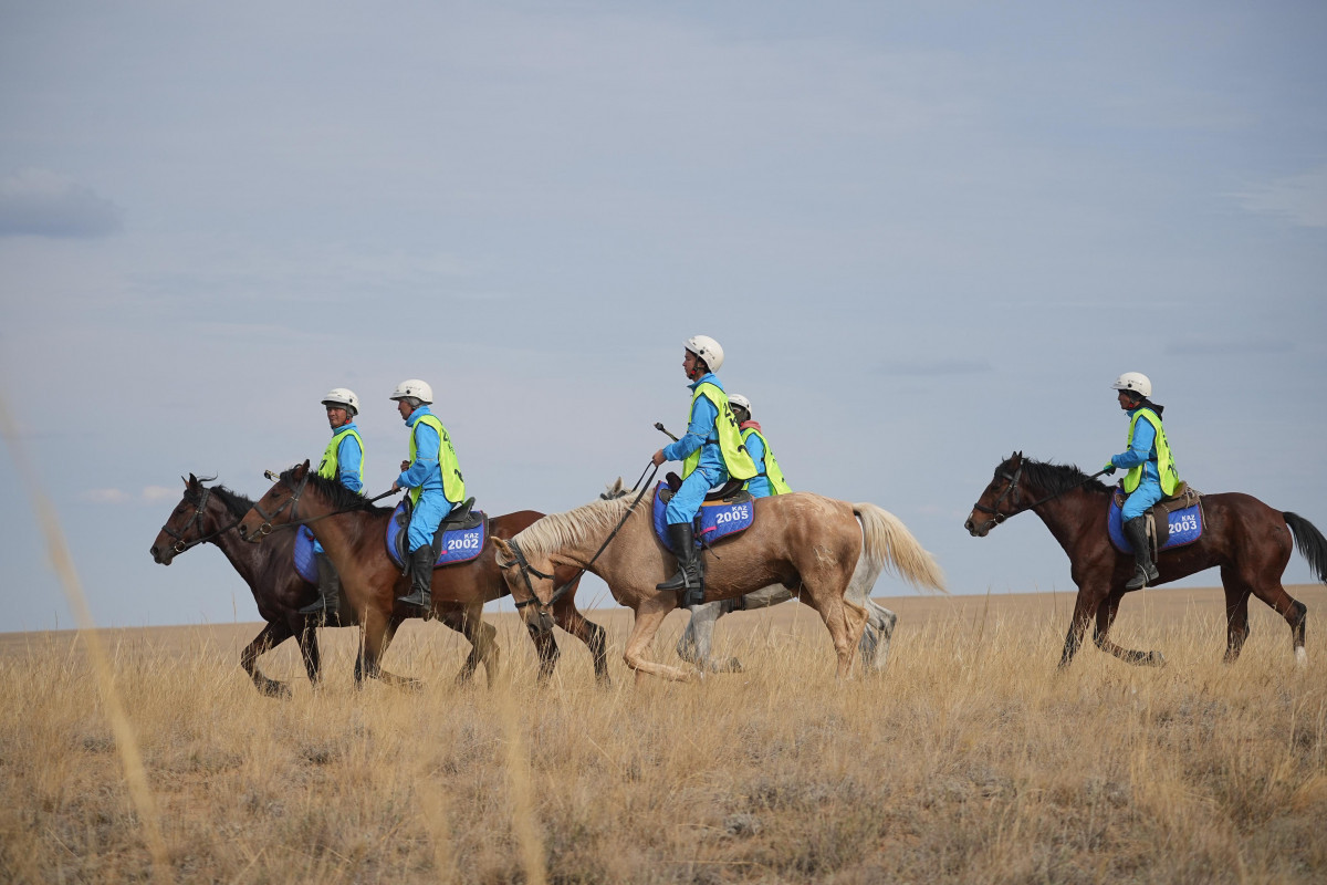 Комендантский даңғылындағы жезөкшелер