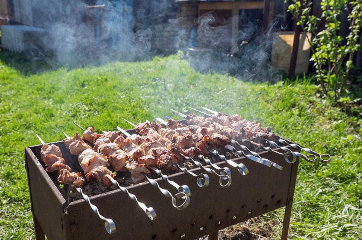 Саяжайда от жағып, кәуап пісіруге тыйым салынады