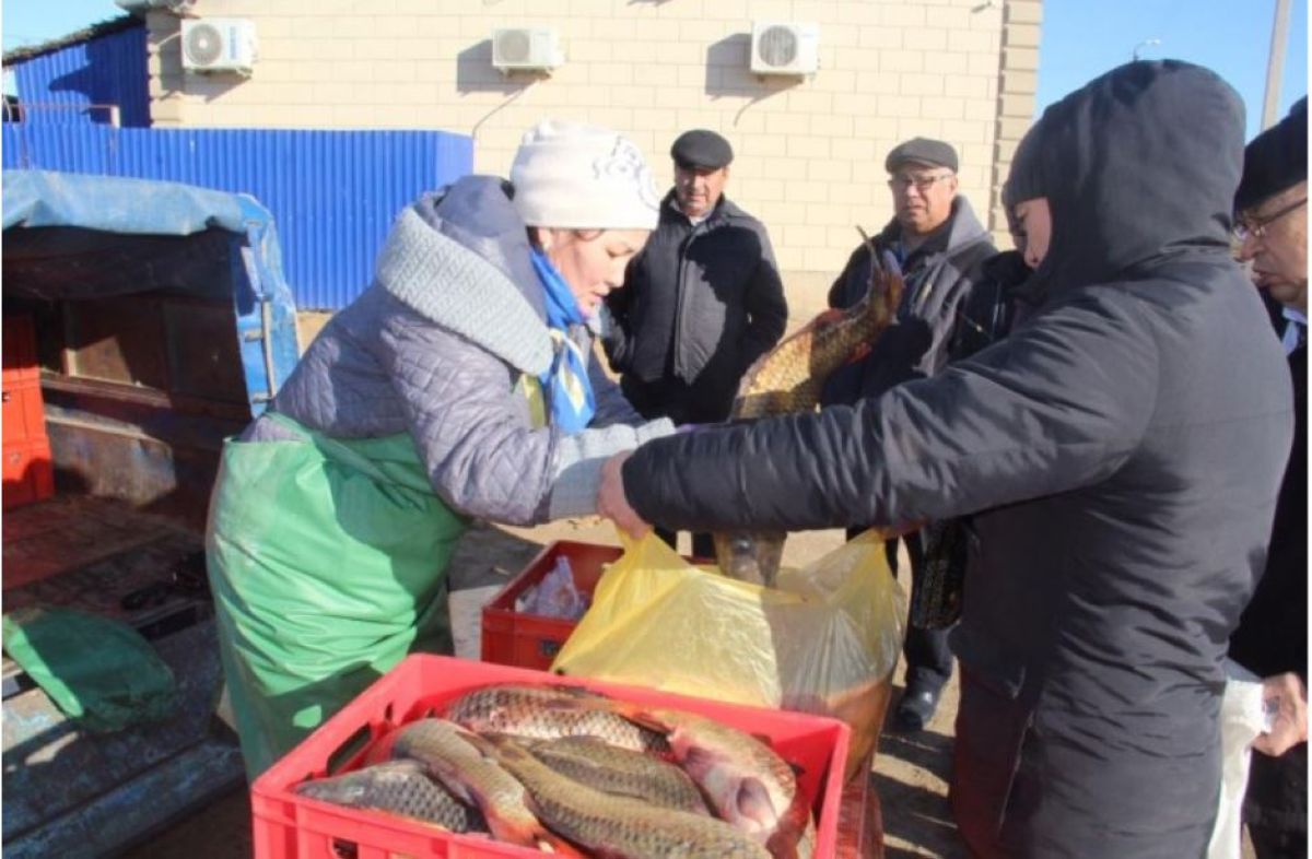 Қауесет балық саудасын күрт азайтты