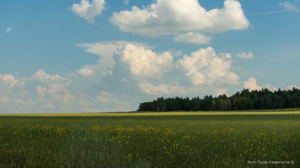 Қазақстанда аптық ыстық қашан басылатыны белгілі болды