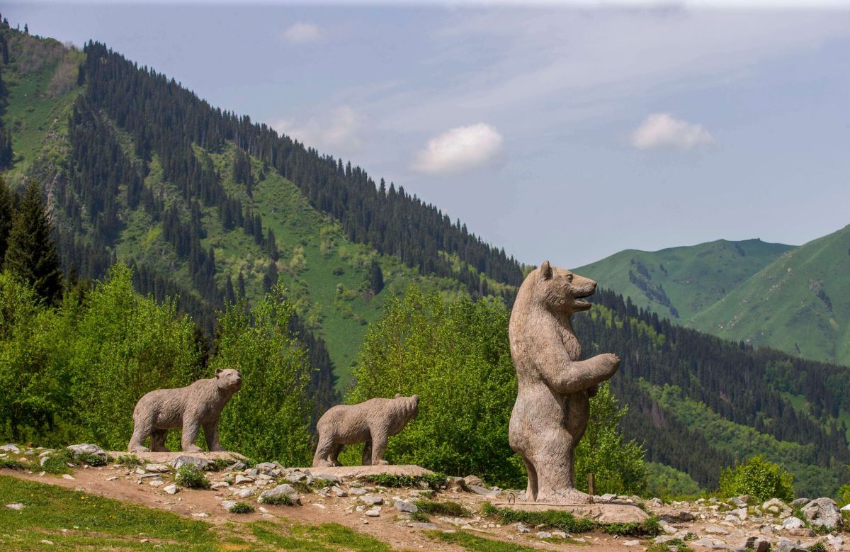 Алатаудың «аюларын» алып тастайтын болды