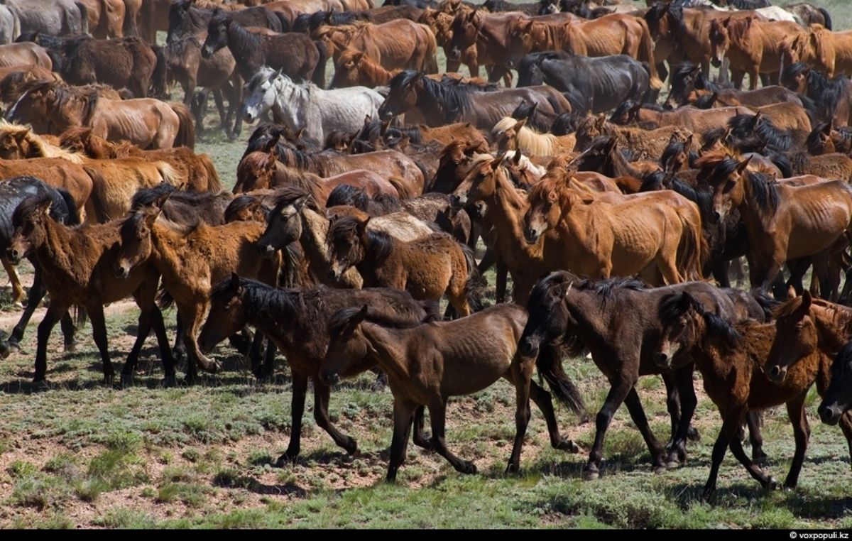 Кофта мен колготкамда сперматозоидтар болды