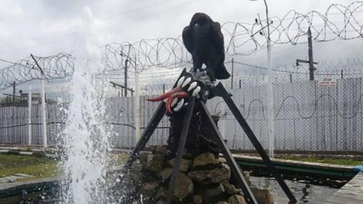 «Қара бүркіт» түрмесі экс-басшысының әпкесі маңызды мәлімдеме жасады