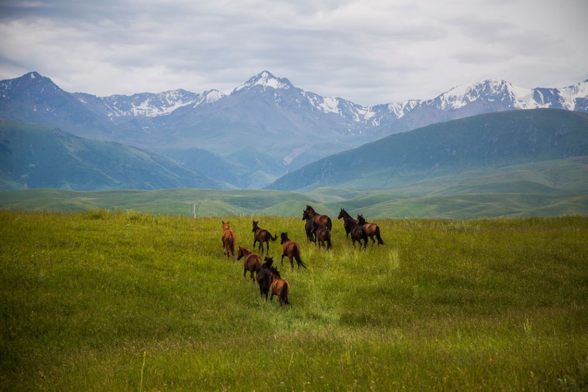 Қазақстан туралы ролик халықаралық байқауда үздік деп танылды