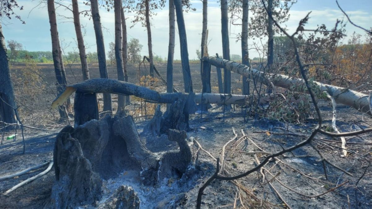 БҚО-да  үшінші күн қатарынан дала өртеніп жатыр