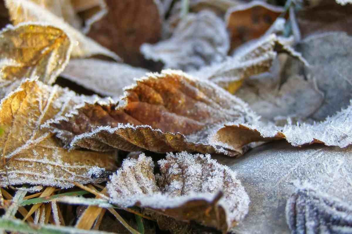 10 өңірінде ауа райына байланысты ескерту жарияланды