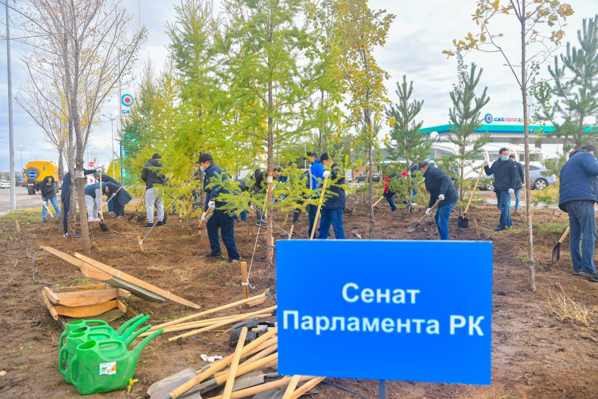 Сенаторлар жалпы қалалық сенбілікке қатысты