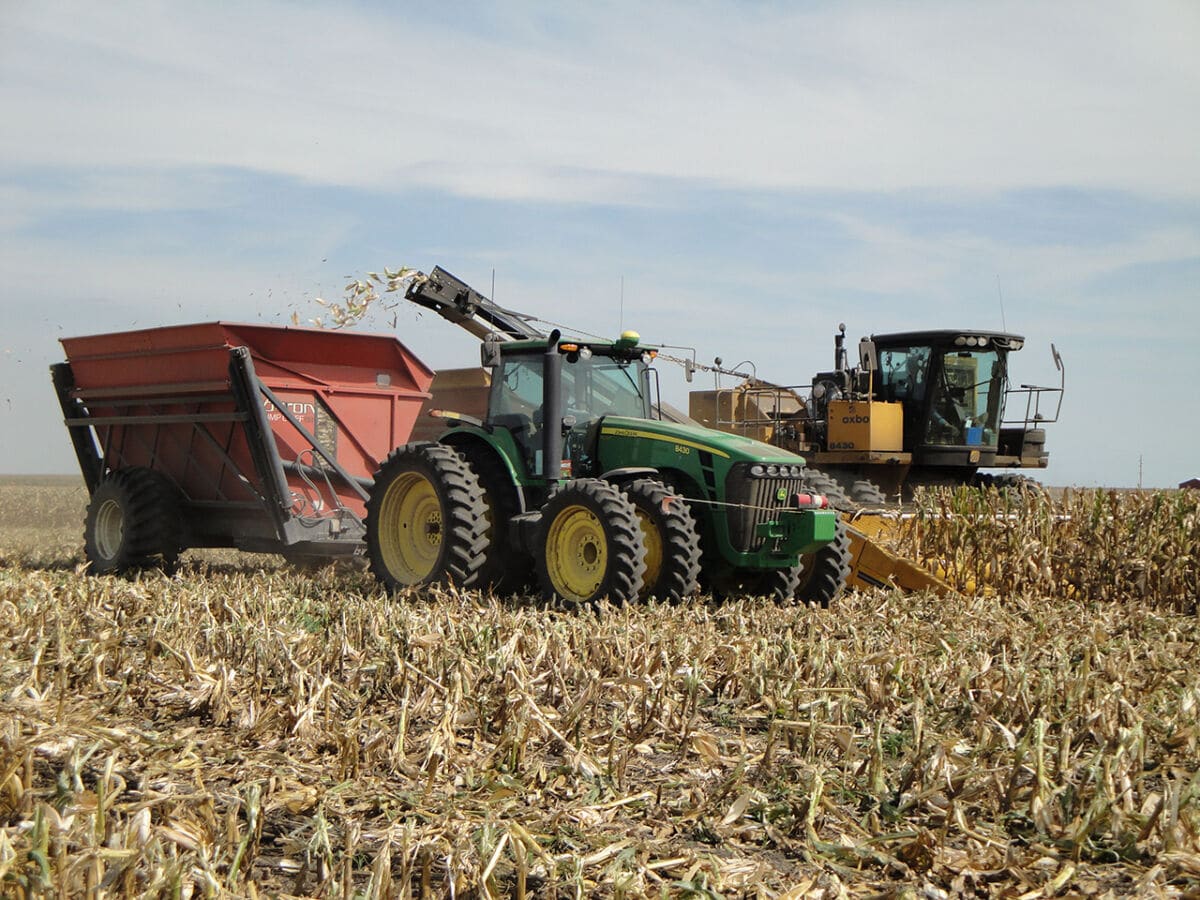 Егістік алқабының 1%-ға жетпейтін көлемі ғана сақтандырылған – Сенатор